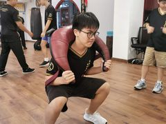 -温鉴良实用咏春拳