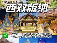 -西双版纳原始森林公园