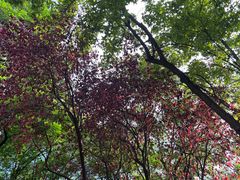 -唐城墙遗址公园