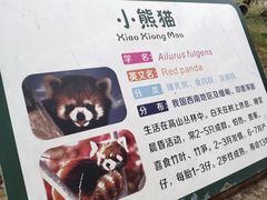 -合肥野生动物园
