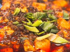 -陈麻婆豆腐(旗舰店)