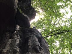 -九曜山