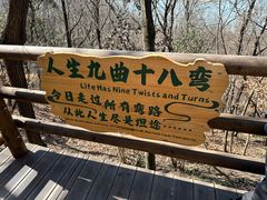 -天目湖山水园