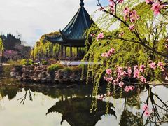 -无锡蠡湖国家湿地公园-蠡园