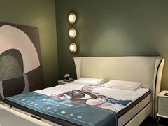 -红星美凯龙(上海沪南店)