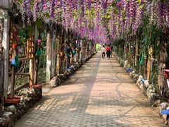 -呀路古热带植物园-恐龙馆