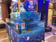 -同喜烤鸭店(光芒店)