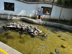 -红螺寺