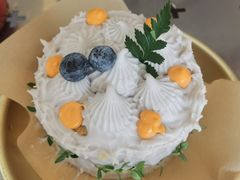 -野草莓自由市场