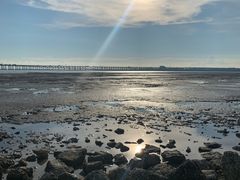 -宝安西湾红树林湿地公园