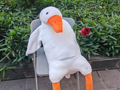 -沪上阿姨·精选茶饮(广州区庄店)