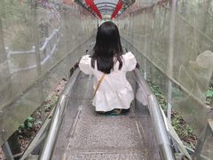 -千泷沟大瀑布旅游区