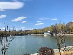 -彩景大酒楼(万泰新天地店)