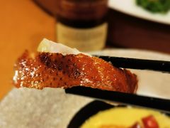 -广州富力君悦大酒店空中花园