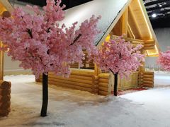 -宁波冰雪大世界(北仑区)