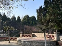 -保定市动物园