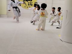 -勇气斑马·巴西柔术&跆拳道(浦东三林店)