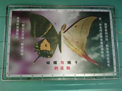 -上海昆虫博物馆