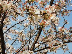 -UNI UNI(环亚凯瑟琳店)