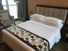 -长沙小天鹅戴斯酒店