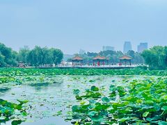 -长春市南湖公园