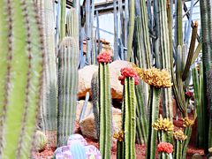 -南通洲际绿博园