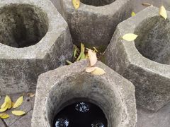 -杭州少年儿童公园