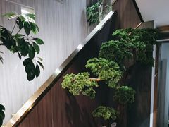 -野菌皇海景野生菌火锅(滨海大道店)