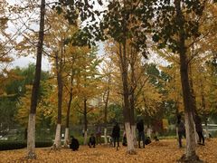 -白塘生态植物园