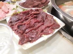-朱氏胖子烂火锅(洪崖洞店)
