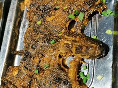 鸦片鱼头-新鞑烤羊腿(康平路店)