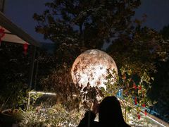 -恬阿姨庭院餐厅·生日宴