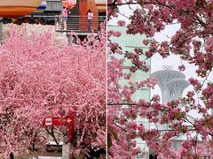 -北京奥林匹克公园