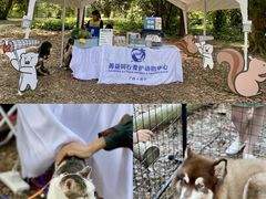 -南宁良凤江国家森林公园