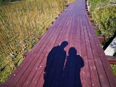 -永定河休闲森林公园