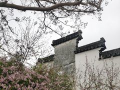 -青果巷历史文化街区