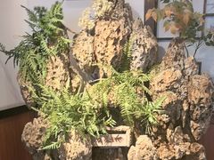 -成老灶火锅鸡(平山店)