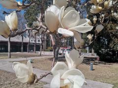 -国家图书馆·古籍馆