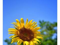 -廊坊文化艺术中心