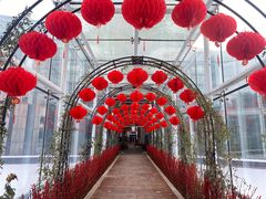 -沈阳植物园