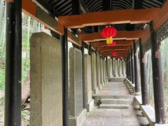 -严子陵钓台(富春江小三峡)