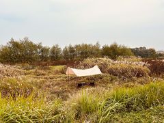 -乌龙涧铁道铁轨景