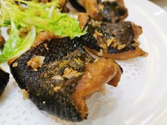 -有腥气私房菜·寻味顺德