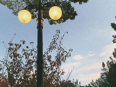 -东华大学(松江校区)