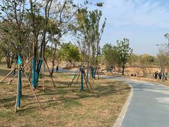 -盘龙城国家考古遗址公园