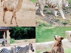 -杭州野生动物世界