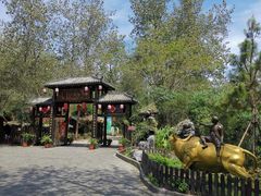 -合肥滨湖国家森林公园