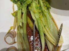-三强鸽子(胜利路店)