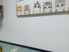 -嘉馨宠物医院·CT影像转诊·心脏科·犬猫全科诊疗中心(下沙大学城院区)