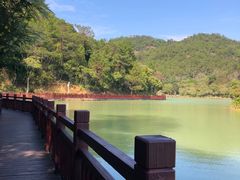 -广州白江湖森林公园